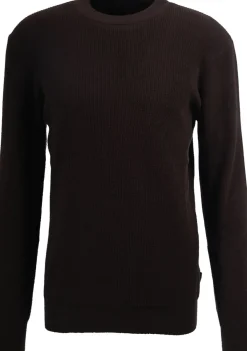 Truien>SAINT STEVE TRUI Bruin