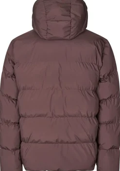 Jassen><noscript><img width=