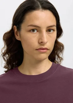 Shirts><noscript><img width=