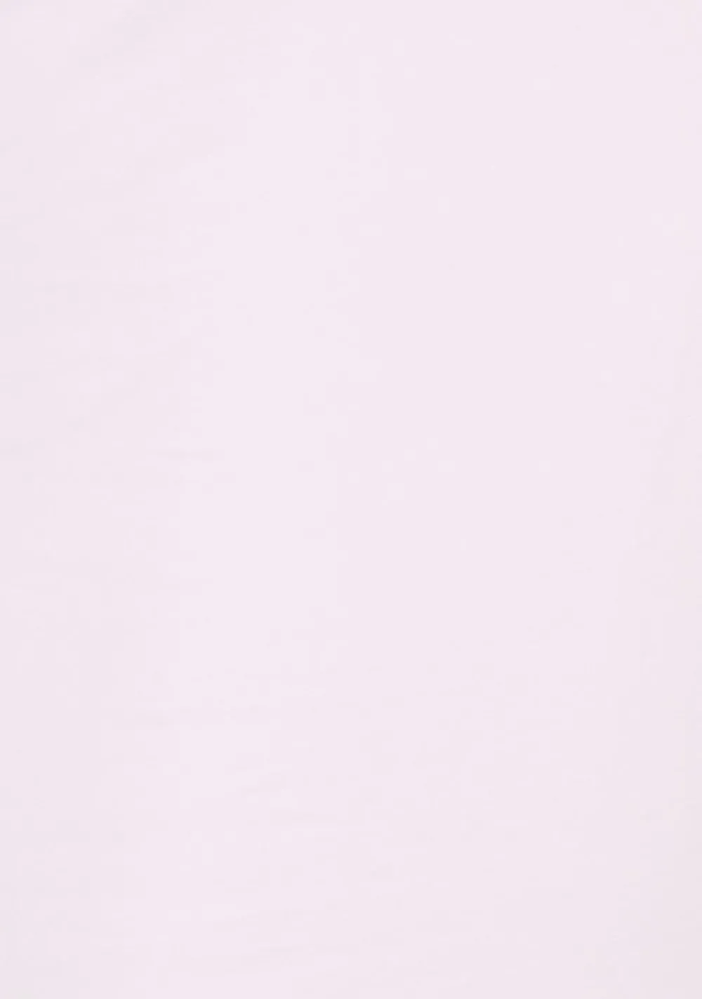 T-Shirts>SLATER TSHIRT Wit