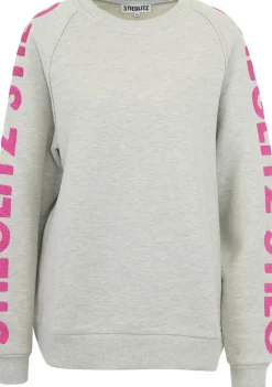 Sweaters|Truien>STIEGLITZ SWEATER Grijs