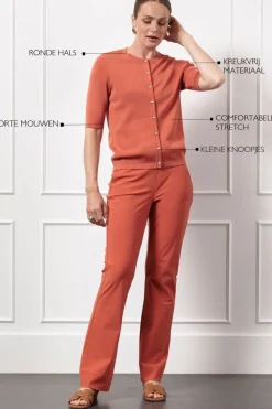 Vesten><noscript><img width=