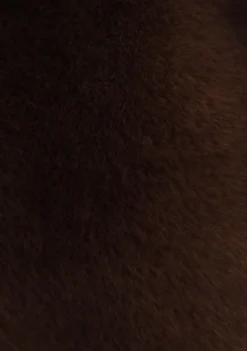 Jassen><noscript><img width=