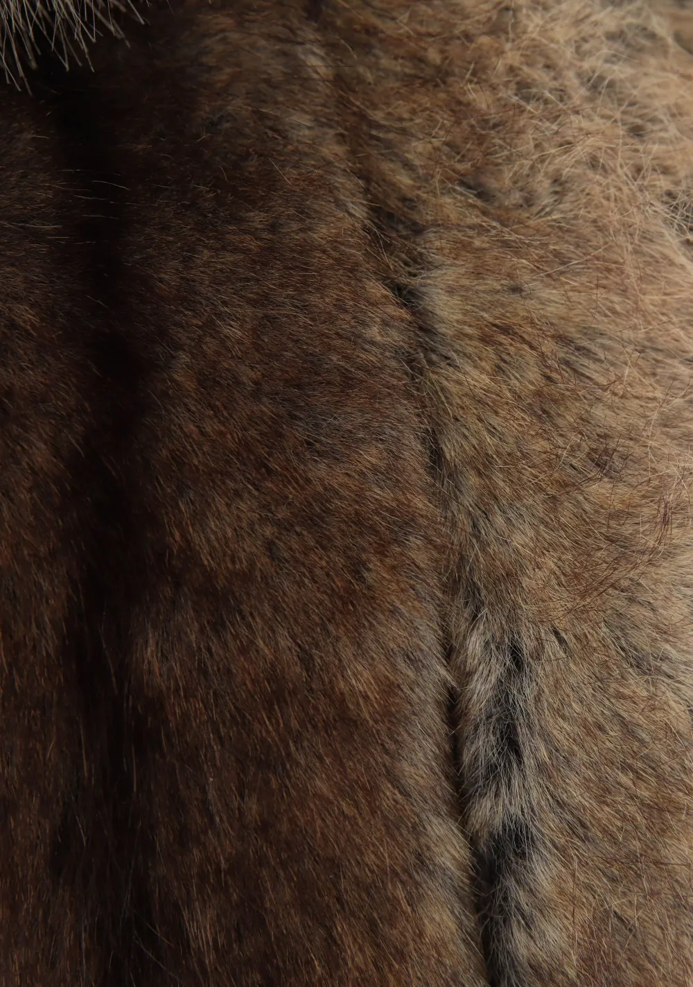 Jassen>STUDIO AR JAS Bruin