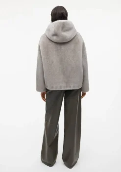 Jassen><noscript><img width=