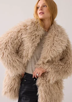 Jassen><noscript><img width=