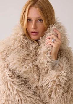 Jassen><noscript><img width=