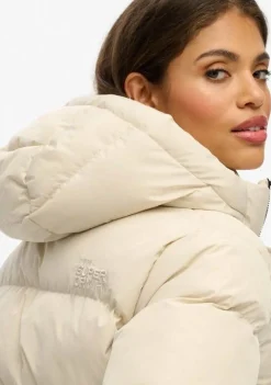 Jassen><noscript><img width=