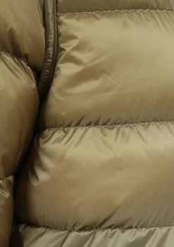 Jassen><noscript><img width=