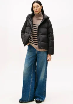 Winterjassen|Jassen>TOMMY HILFIGER JACK