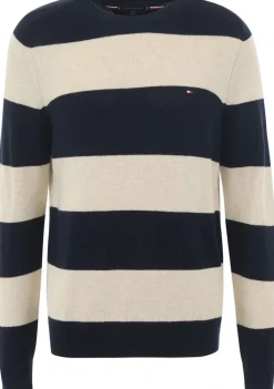 Truien>TOMMY HILFIGER TRUI Blauw