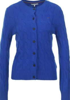 Vesten>TOMMY HILFIGER VEST Blauw