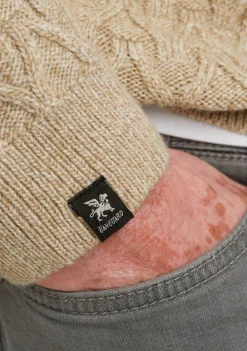 Truien><noscript><img width=