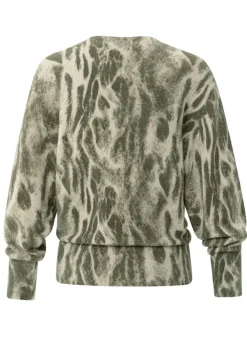 Truien><noscript><img width=