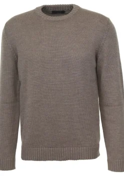 Truien>ZANONE TRUI Bruin